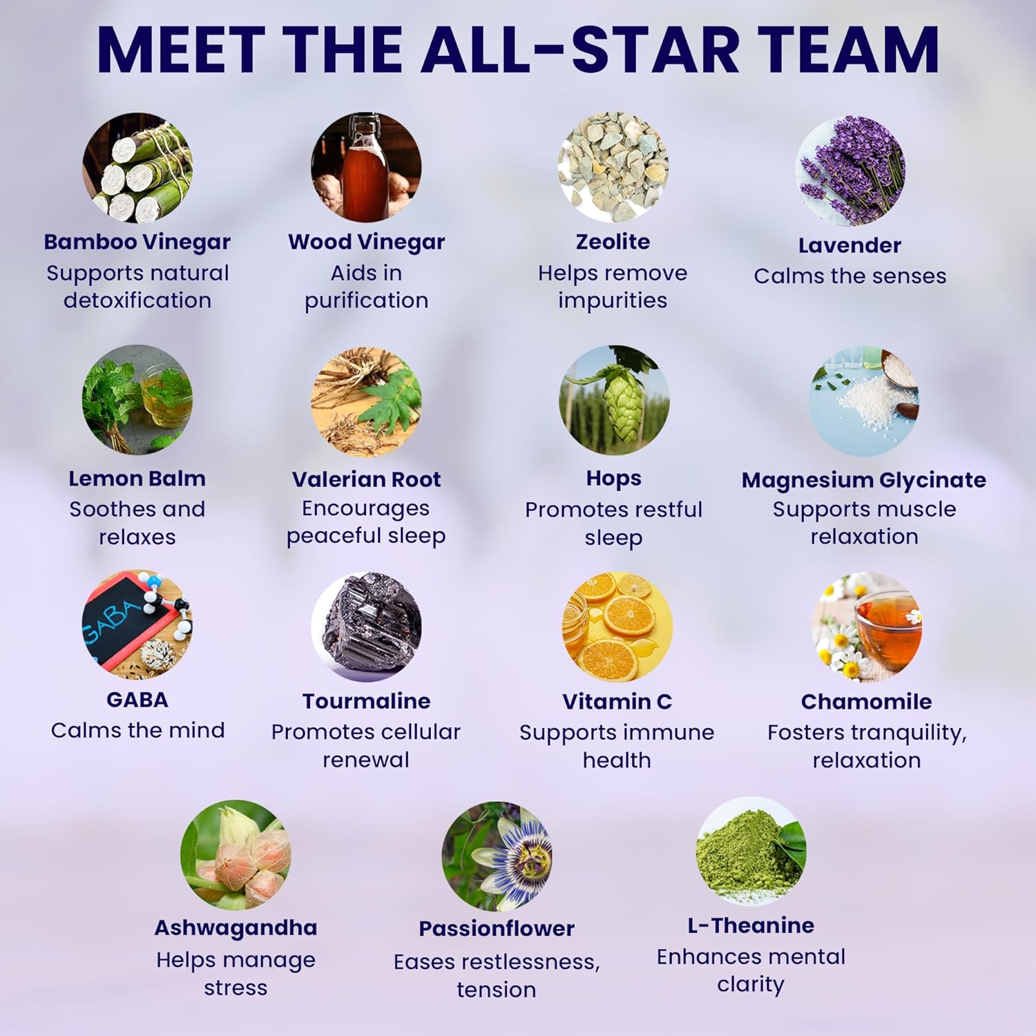 Good Night Sleep Detox Foot Pads