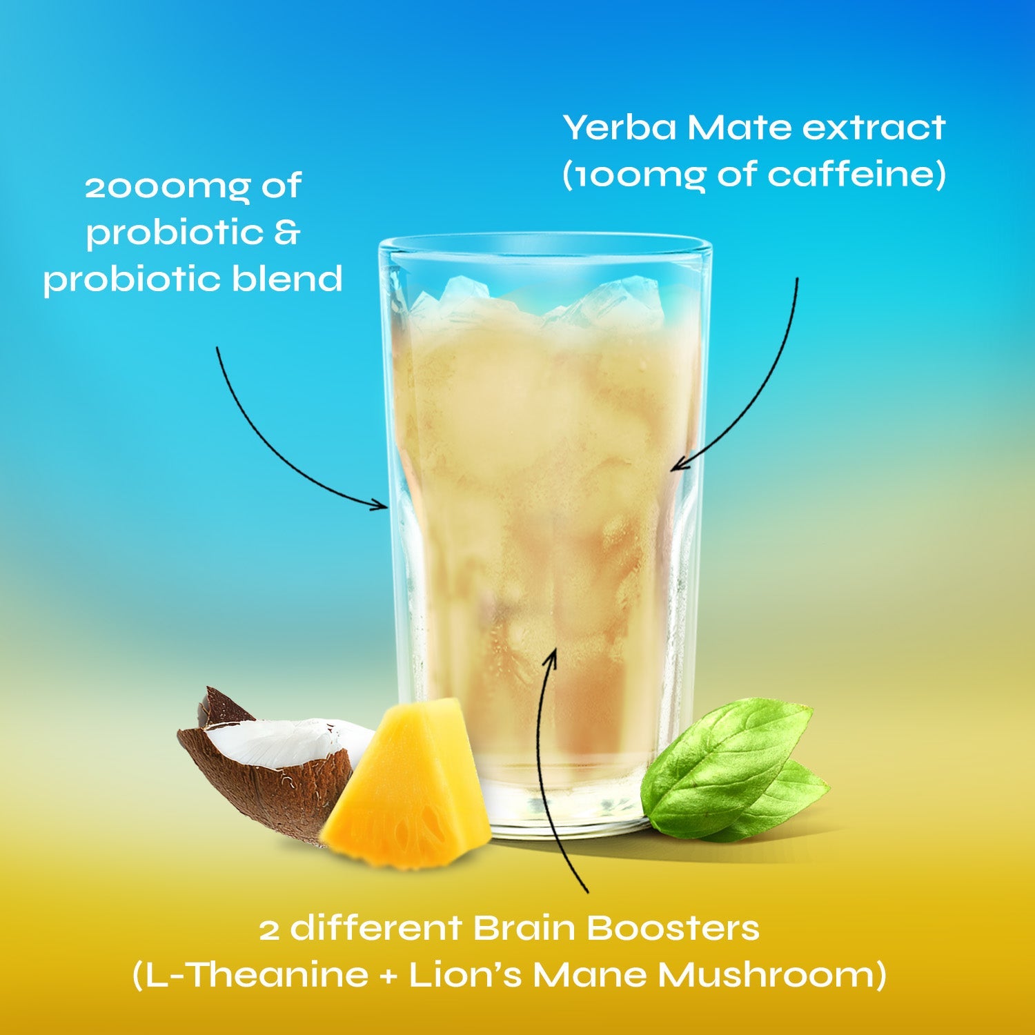 Yerba Magic - Yerba Mate Instant Tea Powder | 30 Servings